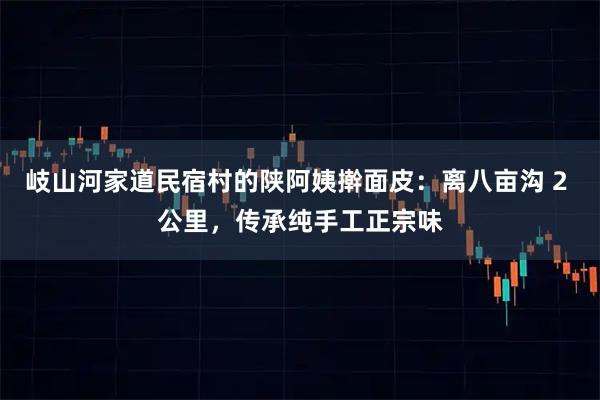 岐山河家道民宿村的陕阿姨擀面皮：离八亩沟 2 公里，传承纯手工正宗味